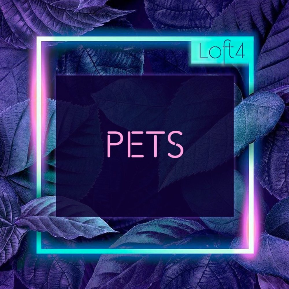 Pet Items
